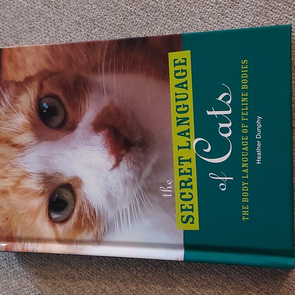 Secret Language of Cats, by Heather Dunphy